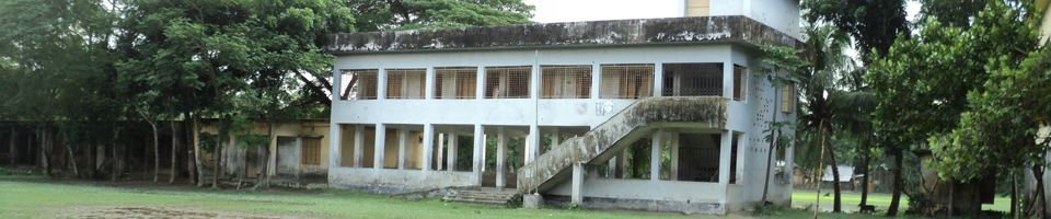 ডাওরী হাট সরকারী প্রাথমিক বিদ্যালয়
